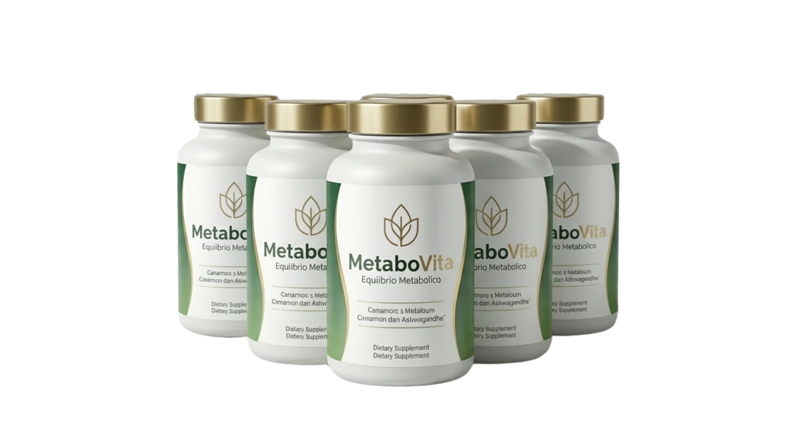 Metabovita - 6 Bottles